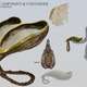 Illustration for article titled Craig Shojis Navi Artifacts